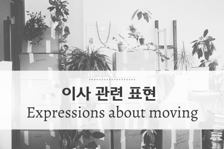 [대니얼의 15분 강의] 이사와 관련된 영어 표현